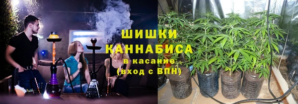 стаф Богородицк