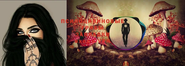 твердый Белоозёрский