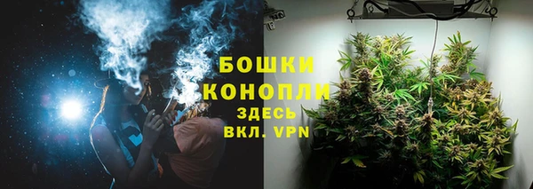 стаф Богородицк